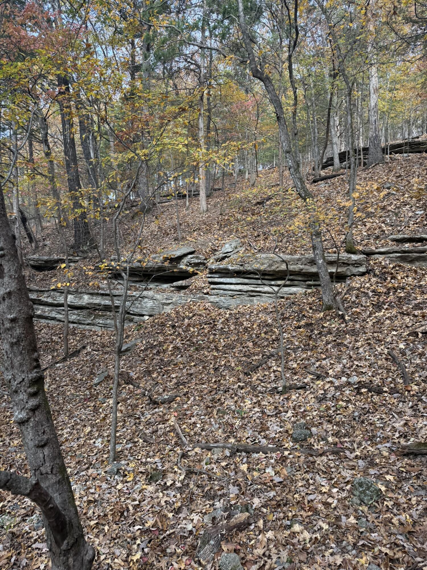 Photo 16 - Land for sale – 000  Skyview Drive  Branson, MO