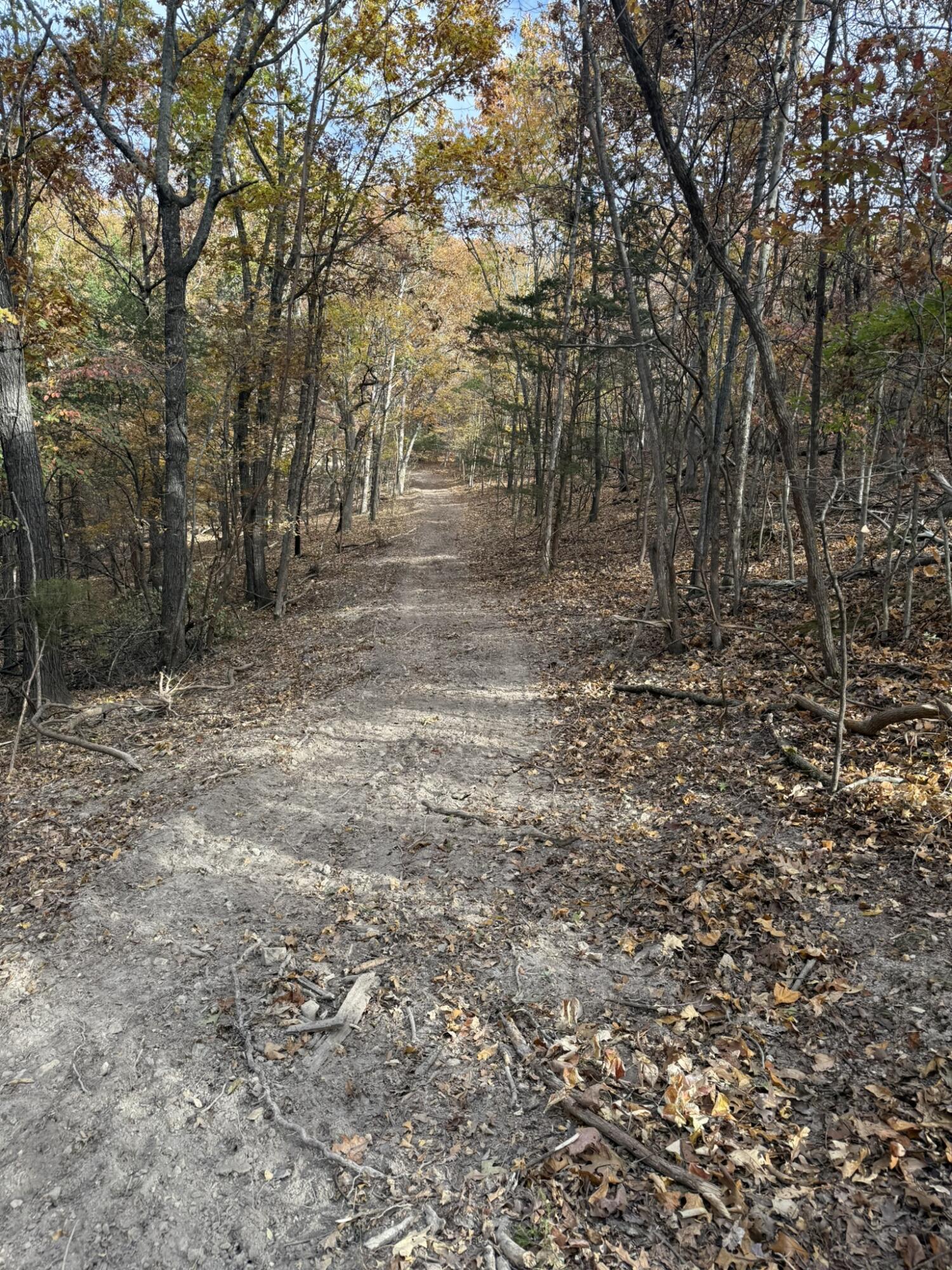 Photo 19 - Land for sale – 000  Skyview Drive  Branson, MO