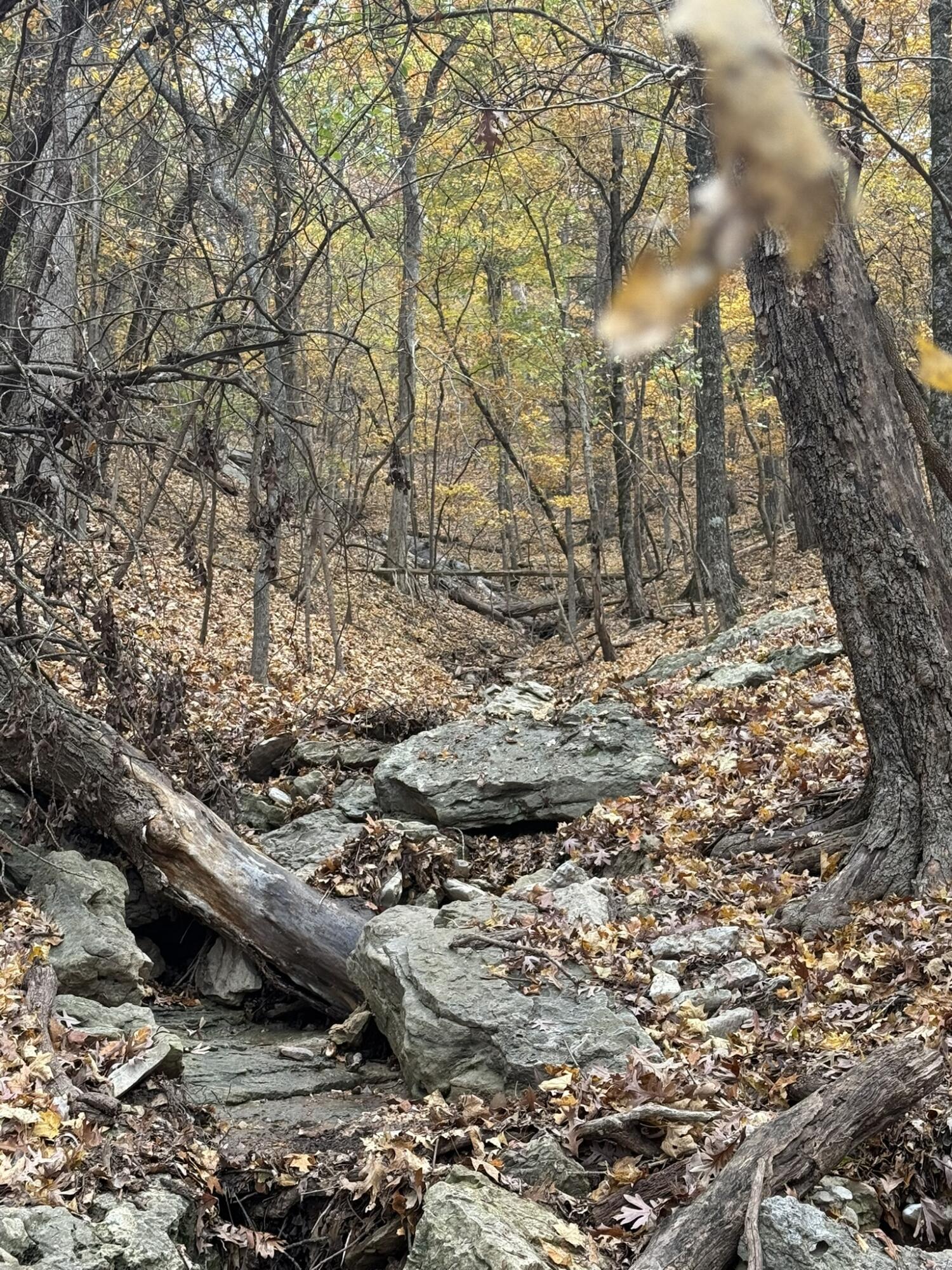 Photo 10 - Land for sale – 000  Skyview Drive  Branson, MO