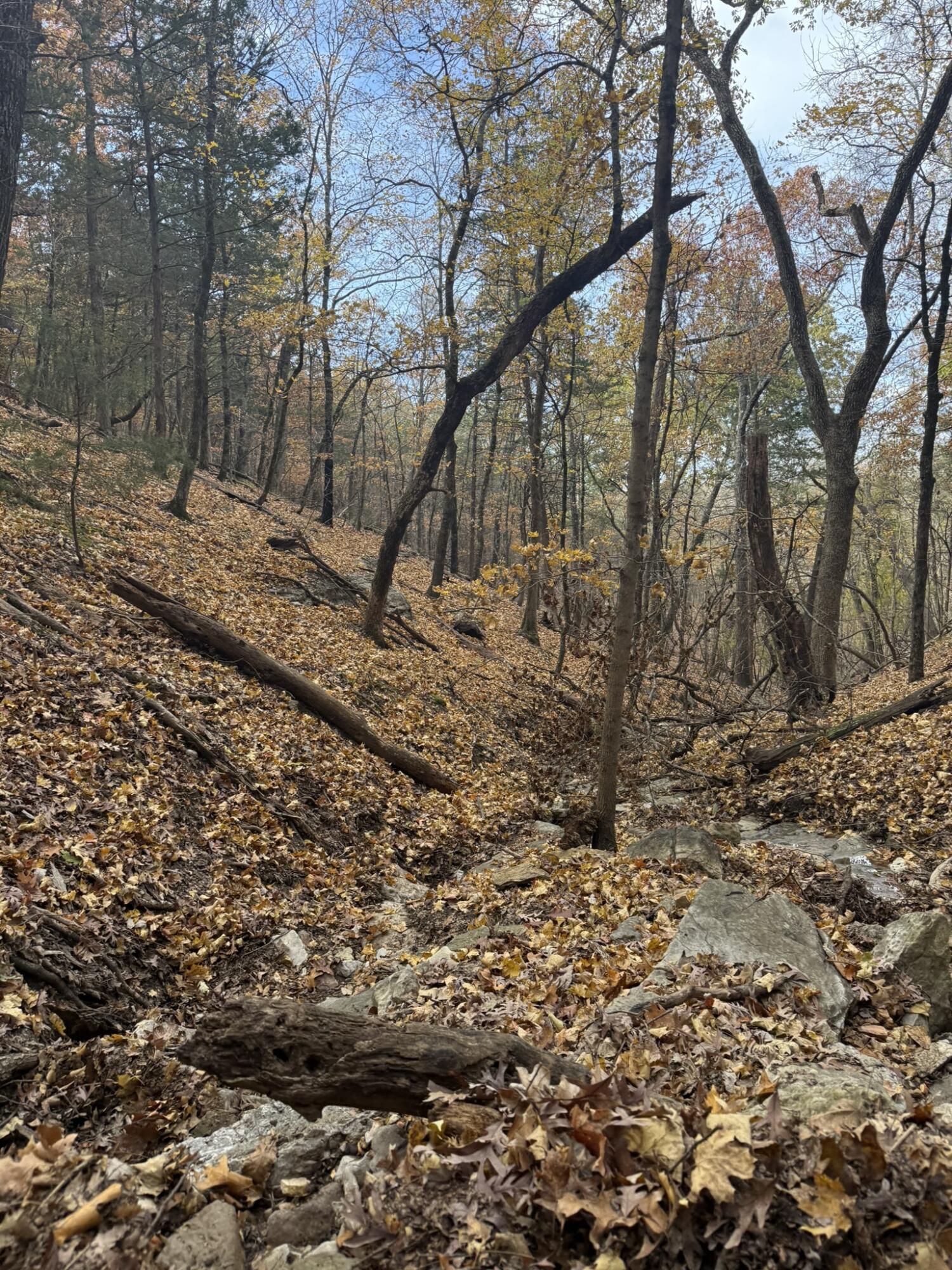Photo 12 - Land for sale – 000  Skyview Drive  Branson, MO