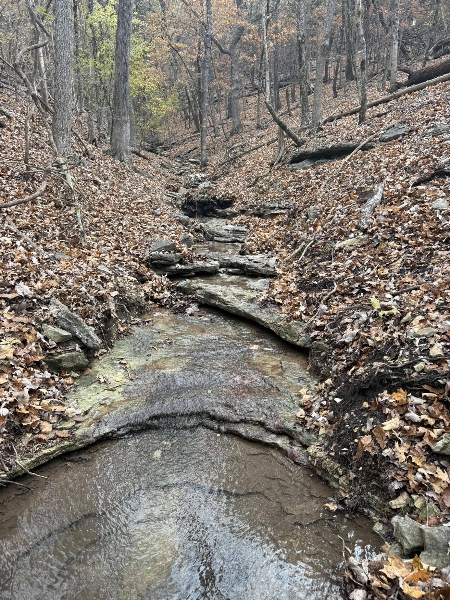 Photo 17 - Land for sale – 000  Skyview Drive  Branson, MO