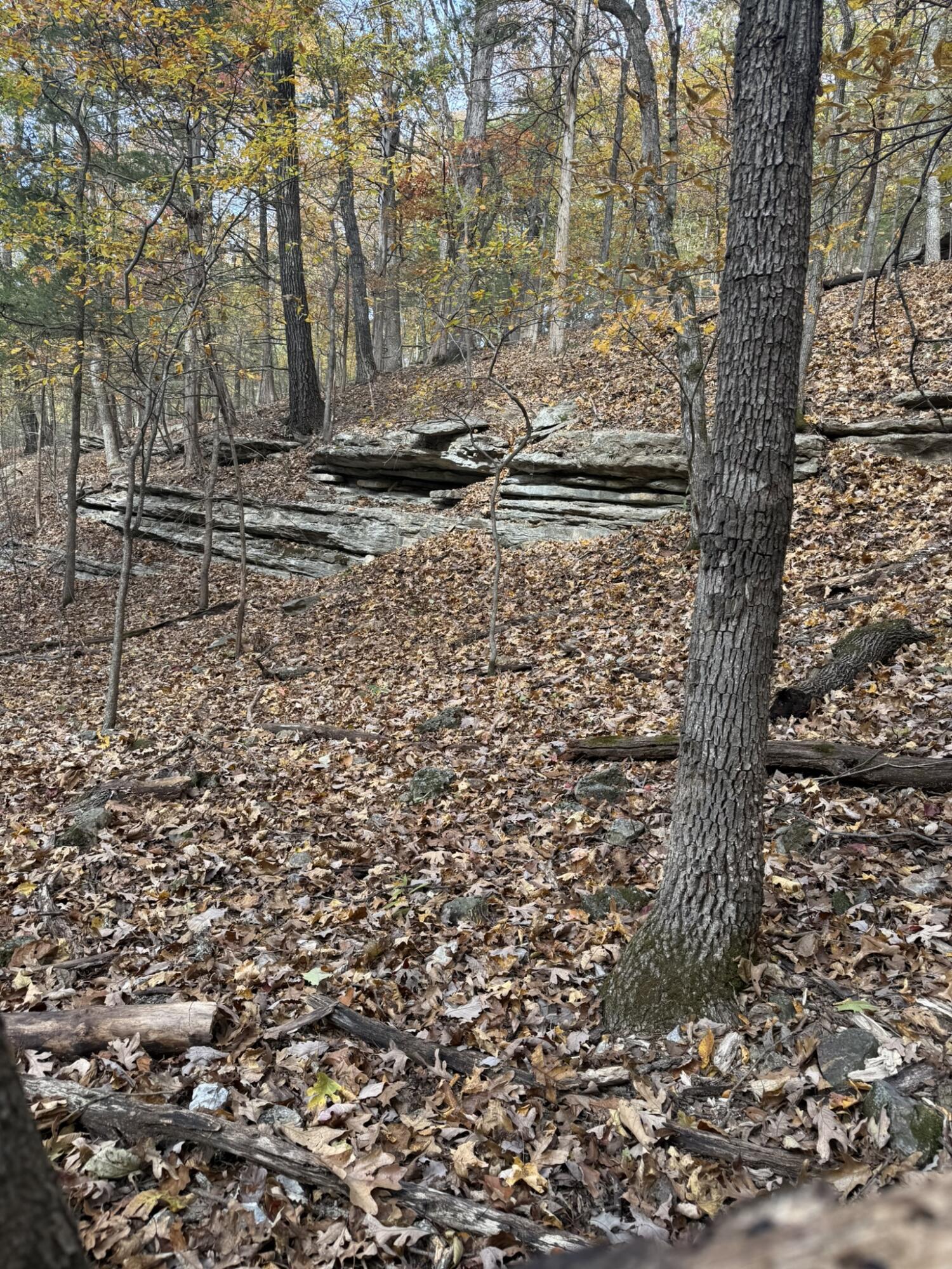 Photo 7 - Land for sale – 000  Skyview Drive  Branson, MO