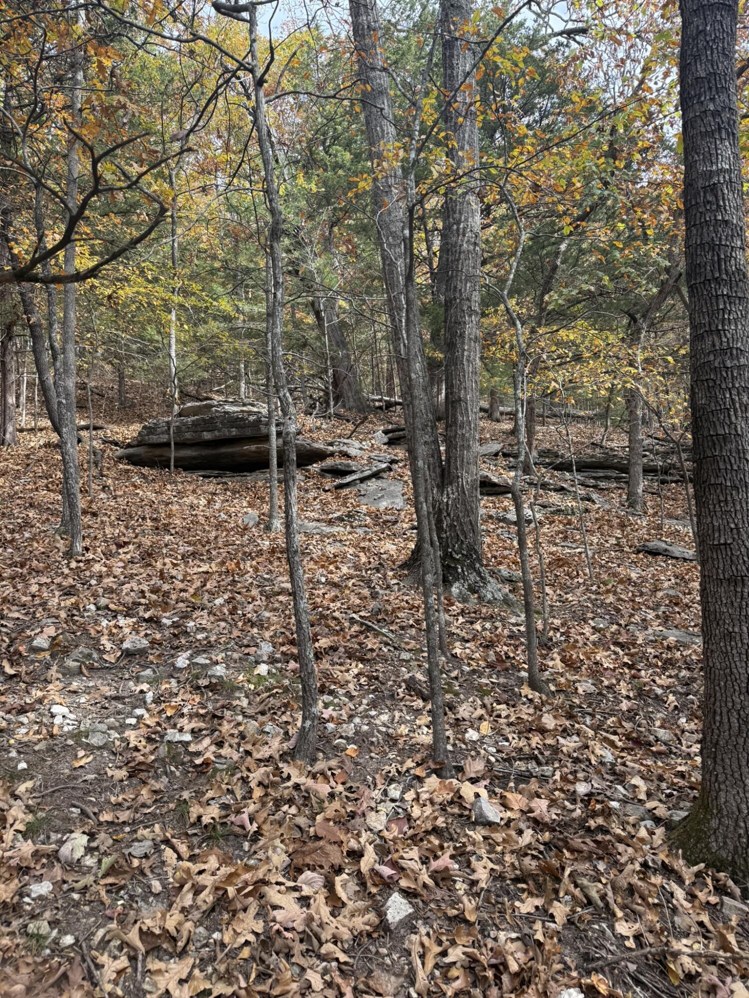 Photo 11 - Land for sale – 000  Skyview Drive  Branson, MO
