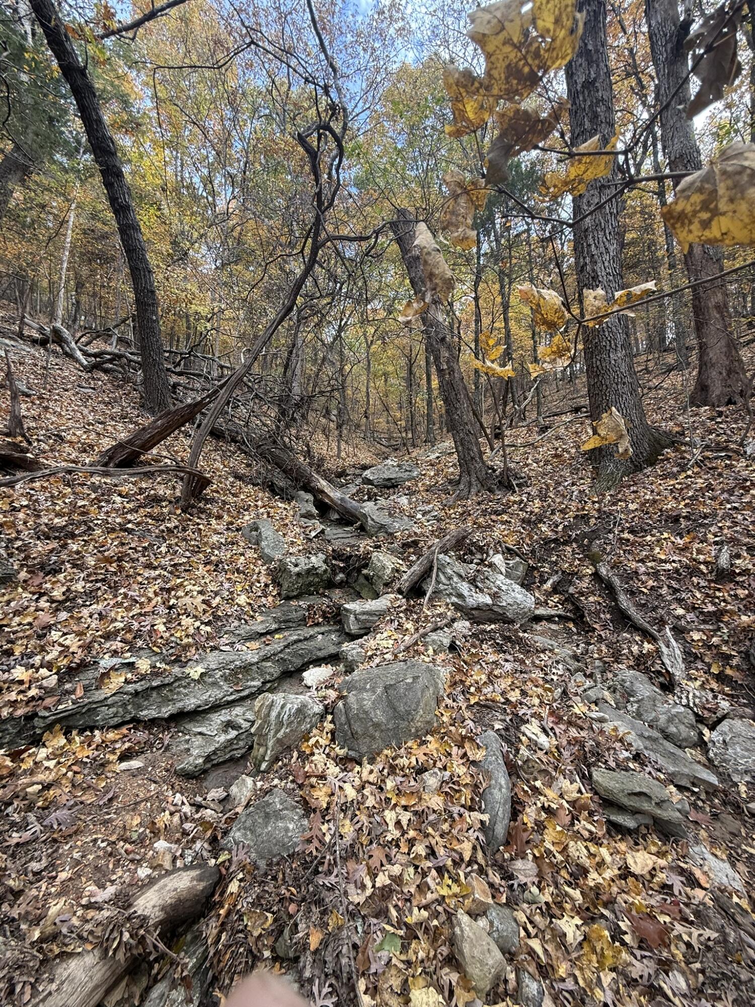Photo 14 - Land for sale – 000  Skyview Drive  Branson, MO