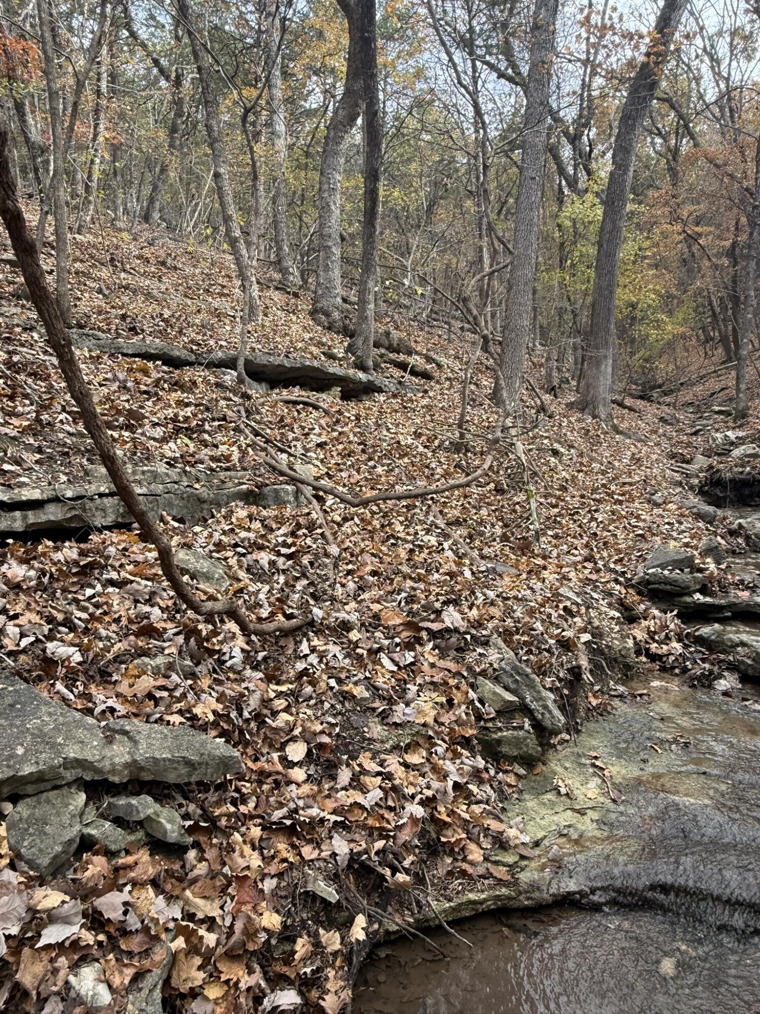 Photo 18 - Land for sale – 000  Skyview Drive  Branson, MO