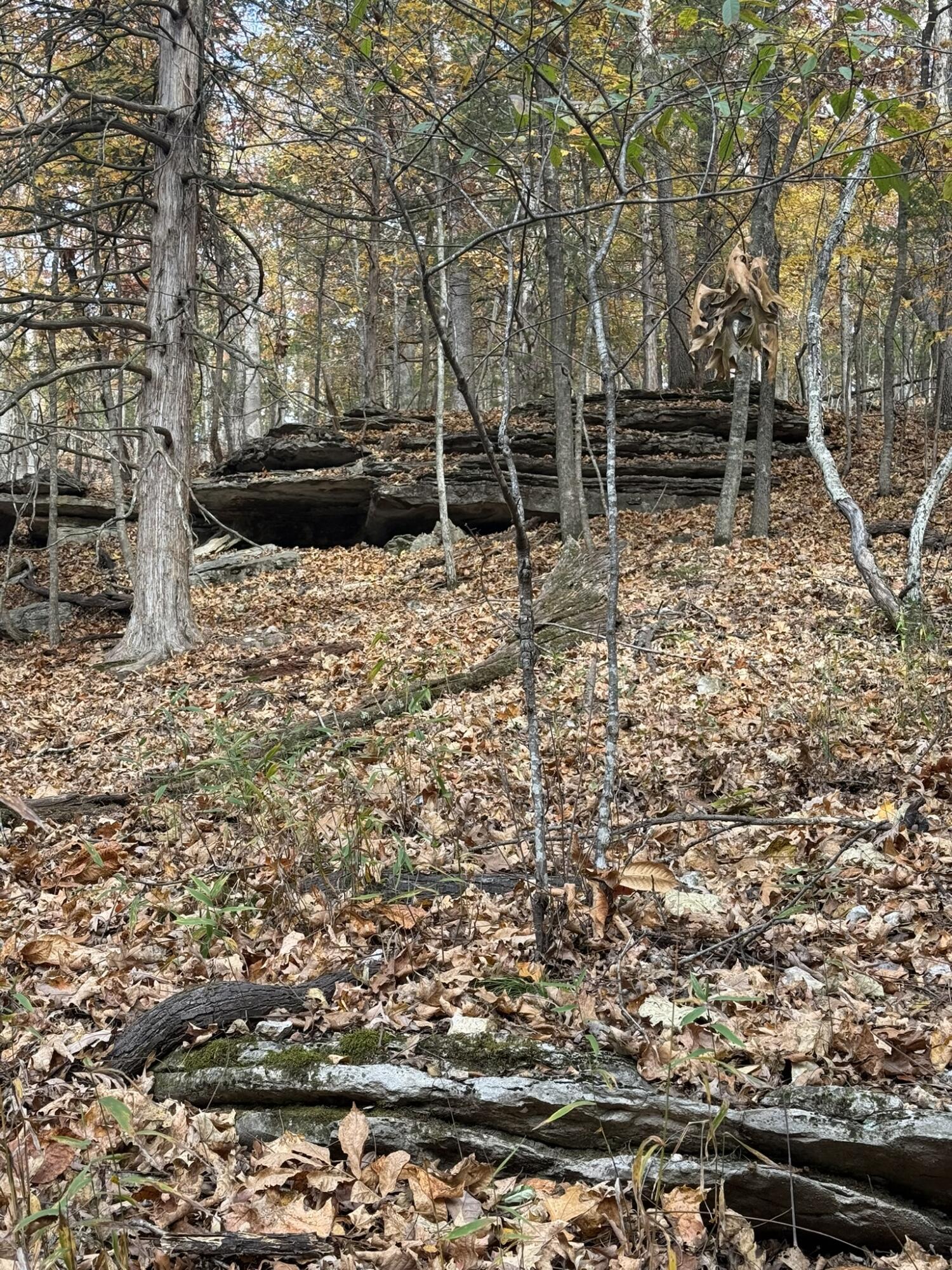 Photo 5 - Land for sale – 000  Skyview Drive  Branson, MO