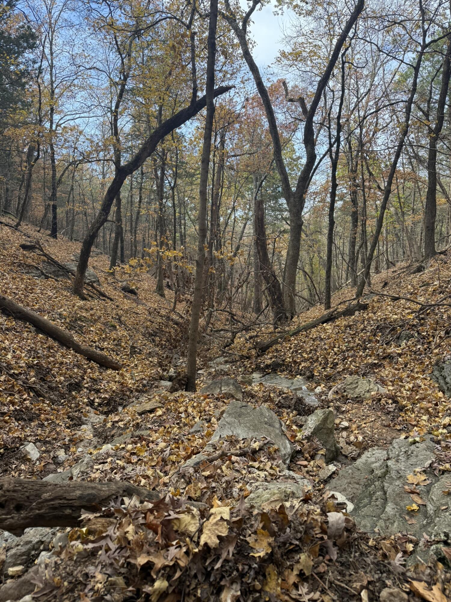 Photo 9 - Land for sale – 000  Skyview Drive  Branson, MO