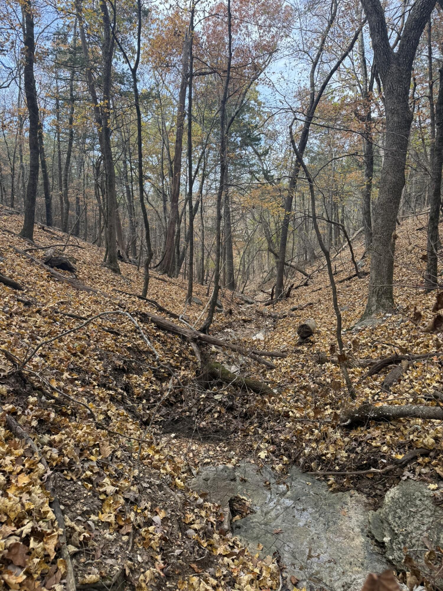 Photo 13 - Land for sale – 000  Skyview Drive  Branson, MO