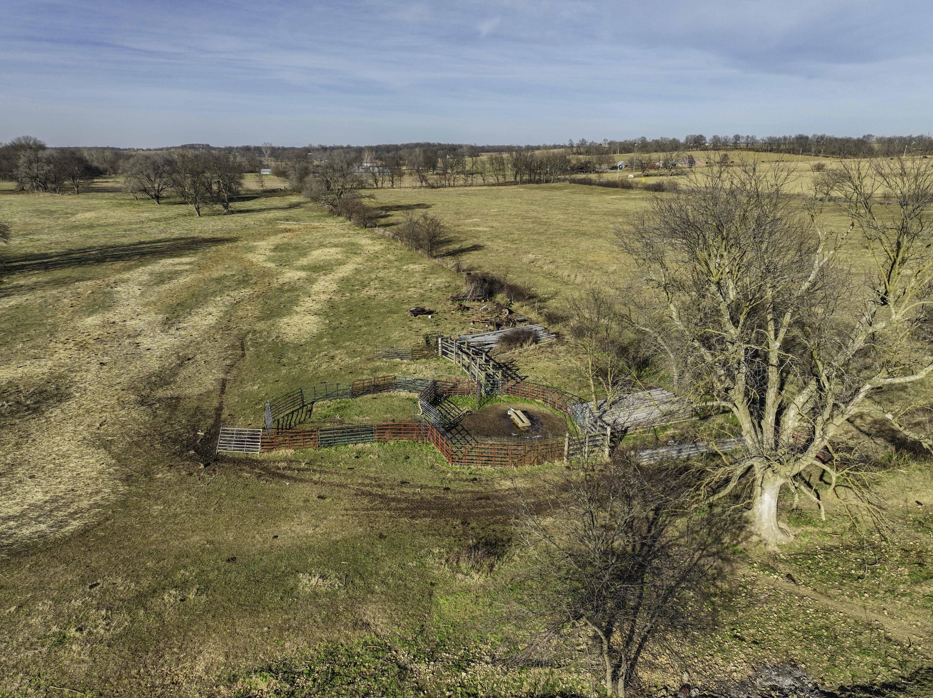 Photo 6 - Land for sale – 4028  State Highway  Purdy, MO