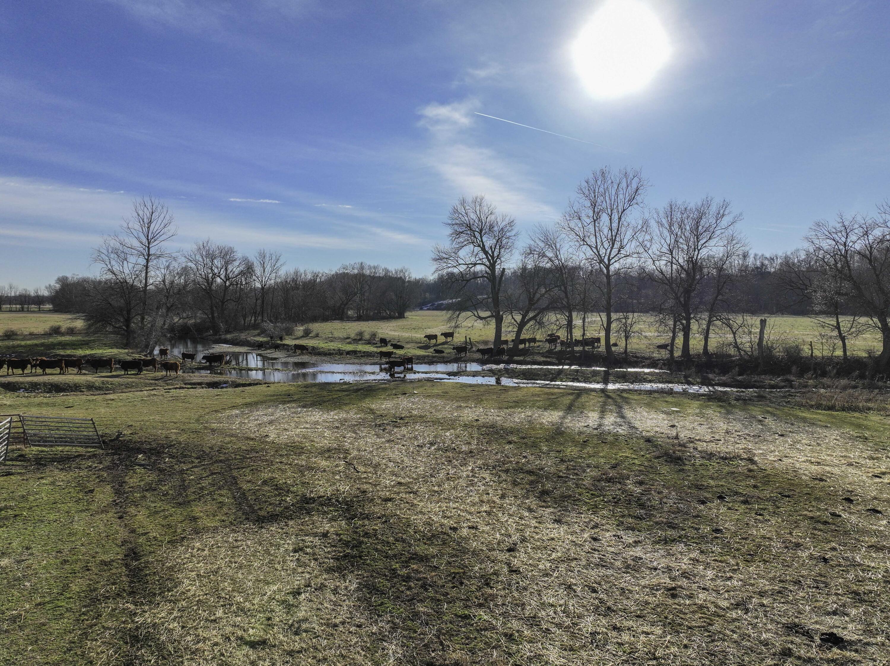 Photo 9 - Land for sale – 4028  State Highway  Purdy, MO