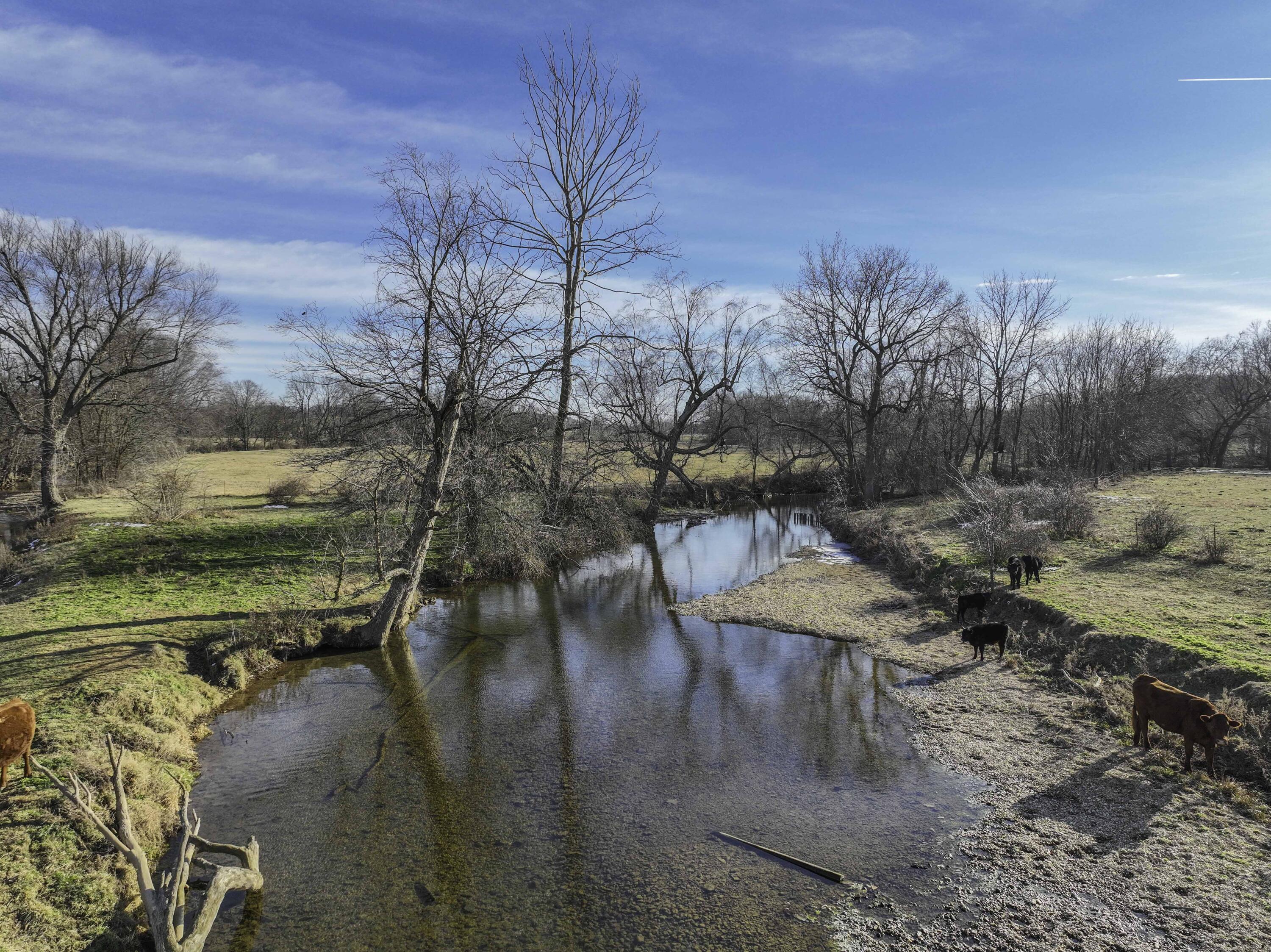 Photo 10 - Land for sale – 4028  State Highway  Purdy, MO