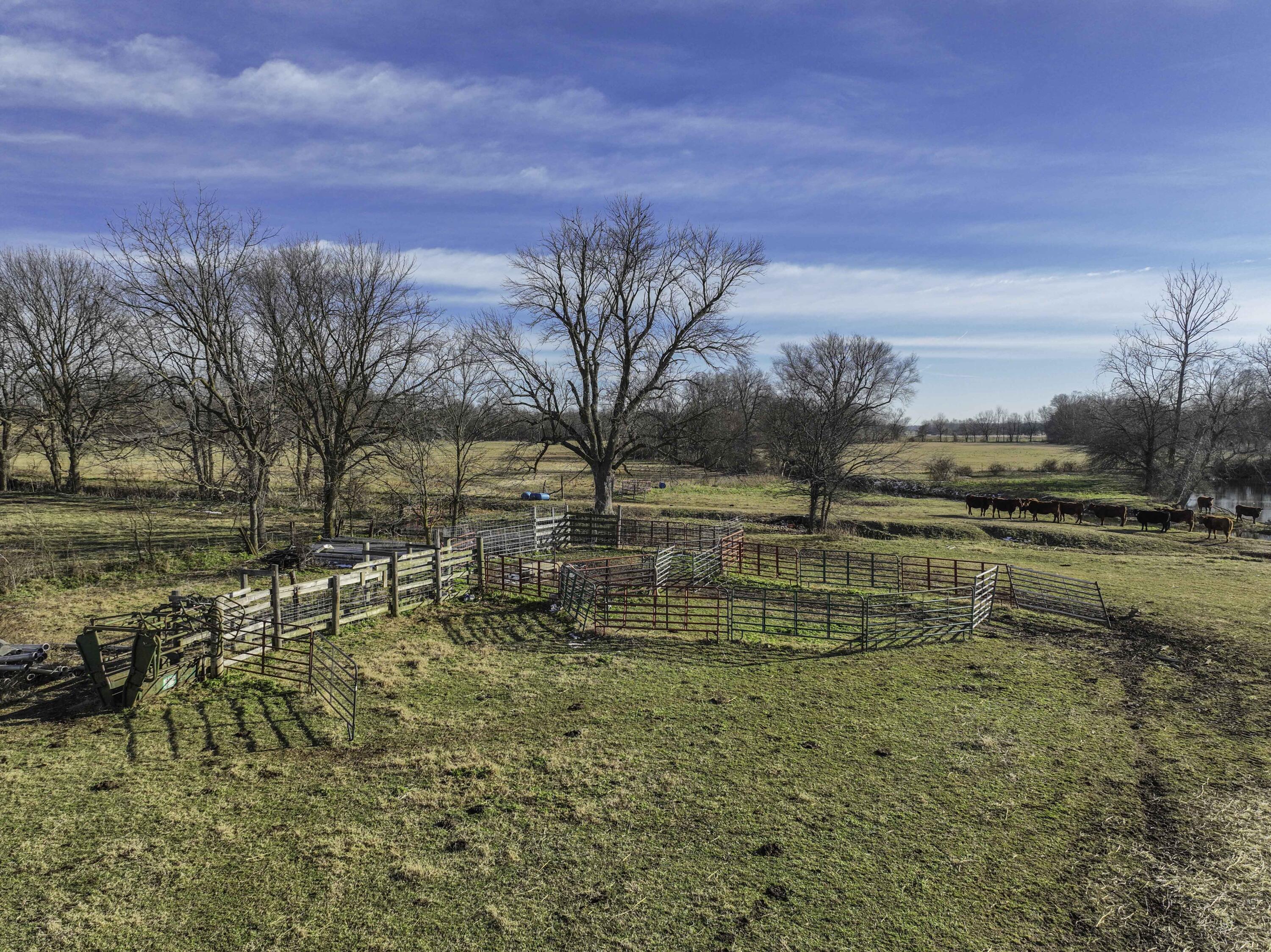 Photo 8 - Land for sale – 4028  State Highway  Purdy, MO