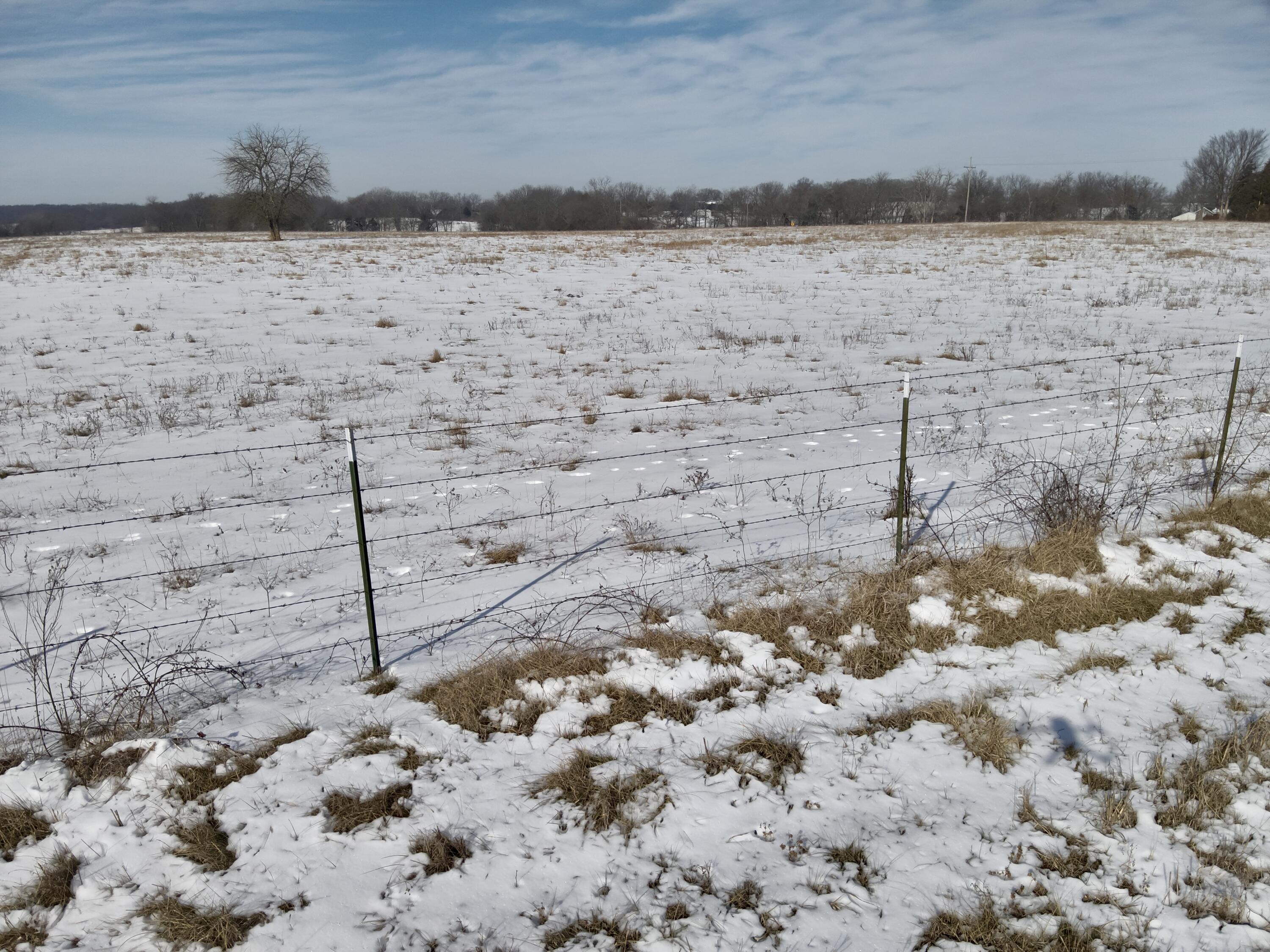Photo 15 - Land for sale – 000  32   Bolivar, MO