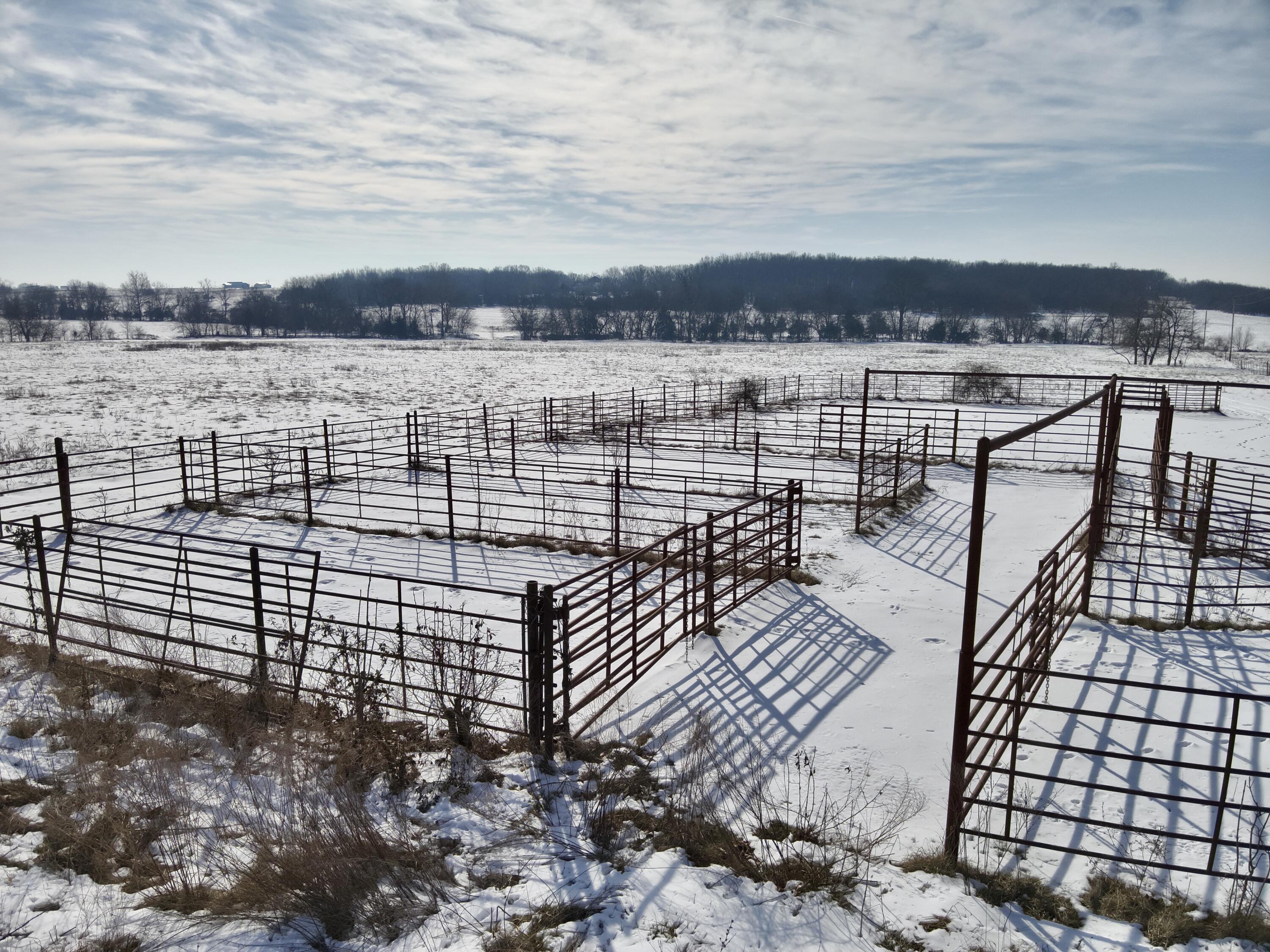 Photo 13 - Land for sale – 000  32   Bolivar, MO