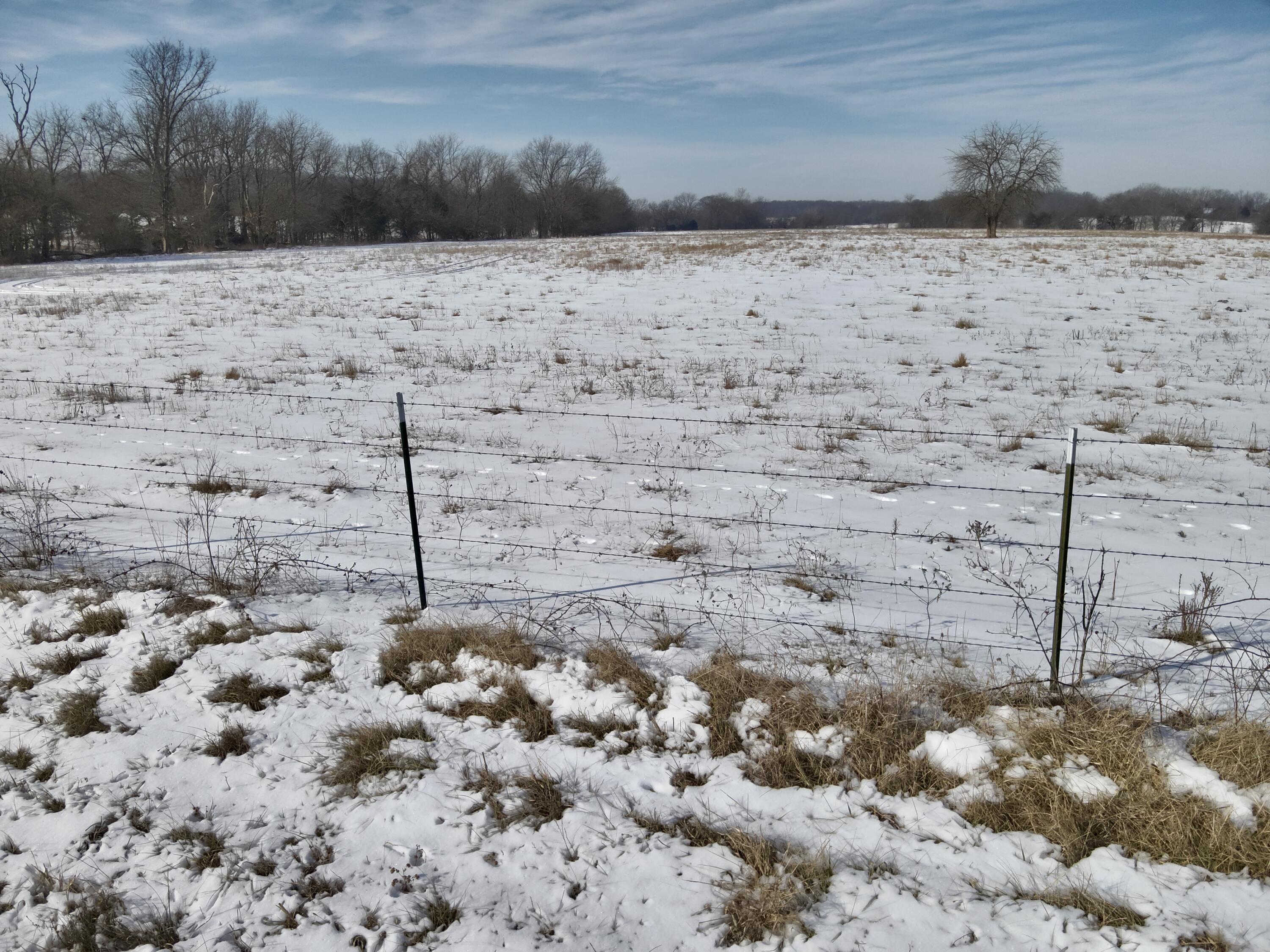 Photo 10 - Land for sale – 000  32   Bolivar, MO