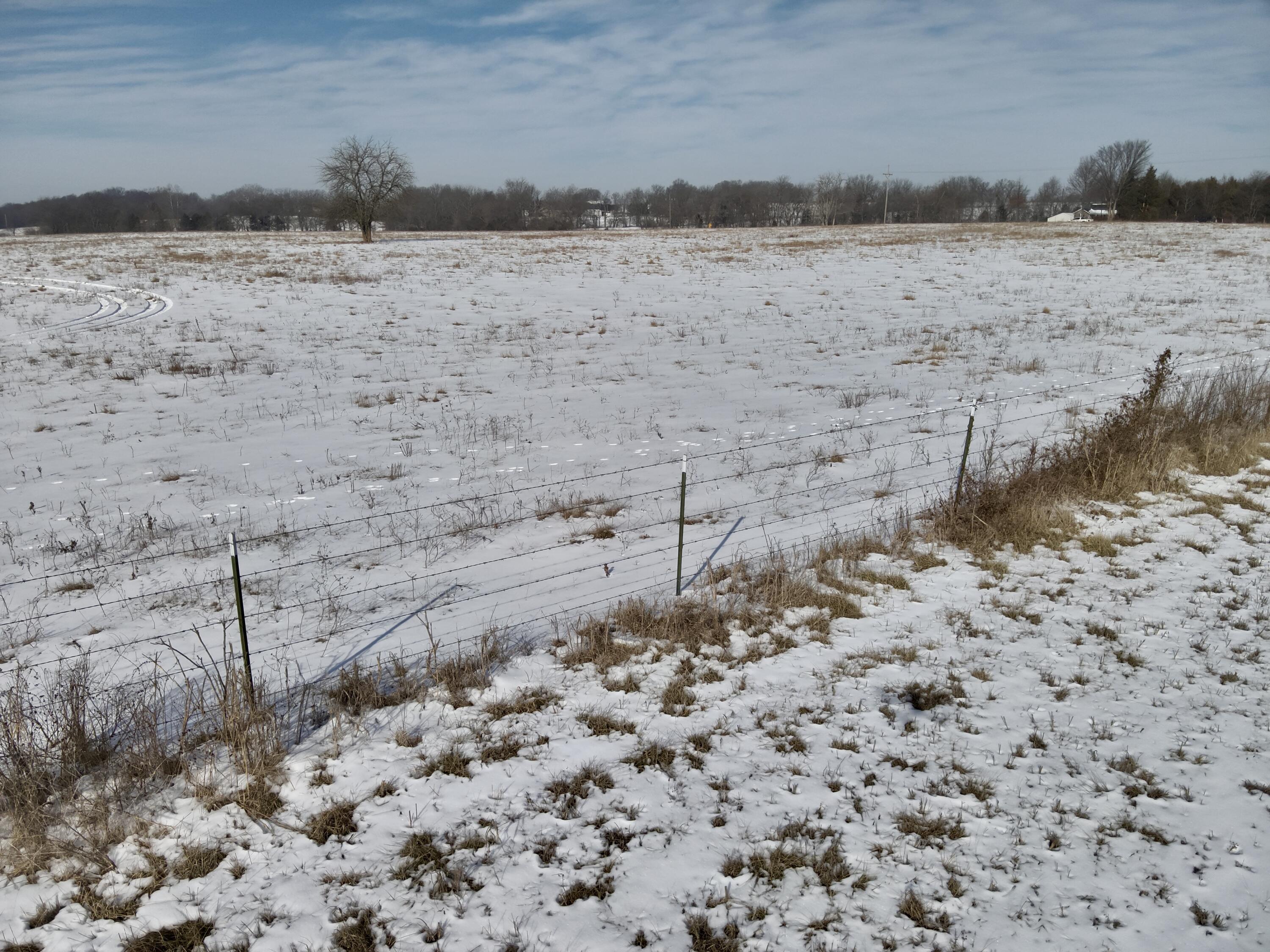 Photo 12 - Land for sale – 000  32   Bolivar, MO