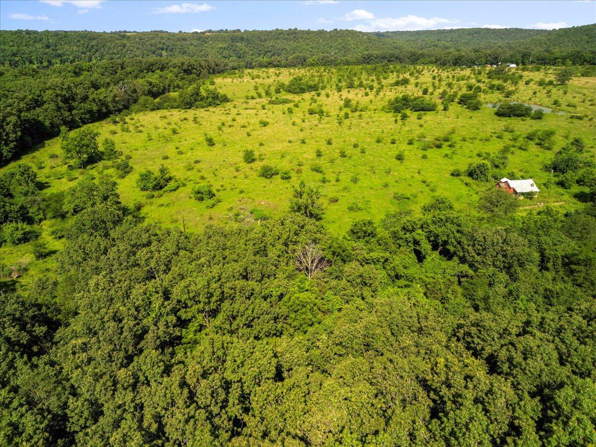 Photo 35 - Land for sale – Tdb  State Hwy O   Udall, MO