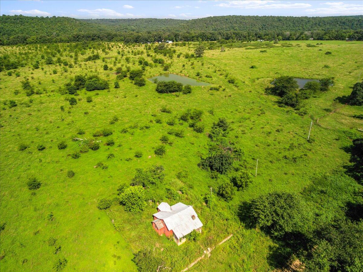 Photo 24 - Land for sale – Tdb  State Hwy O   Udall, MO