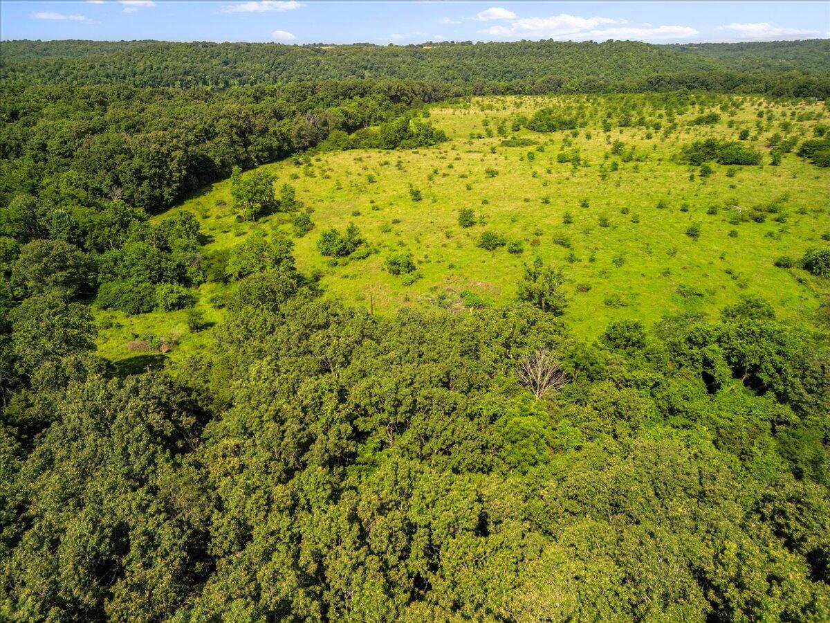 Photo 23 - Land for sale – Tdb  State Hwy O   Udall, MO