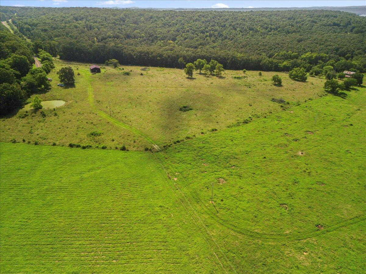 Photo 9 - Land for sale – Tdb  State Hwy O   Udall, MO