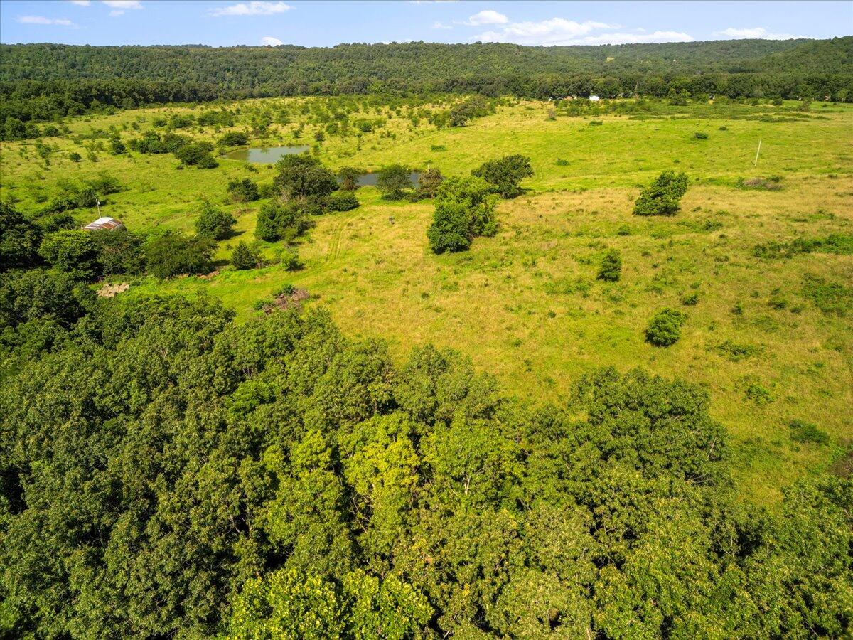 Photo 11 - Land for sale – Tdb  State Hwy O   Udall, MO