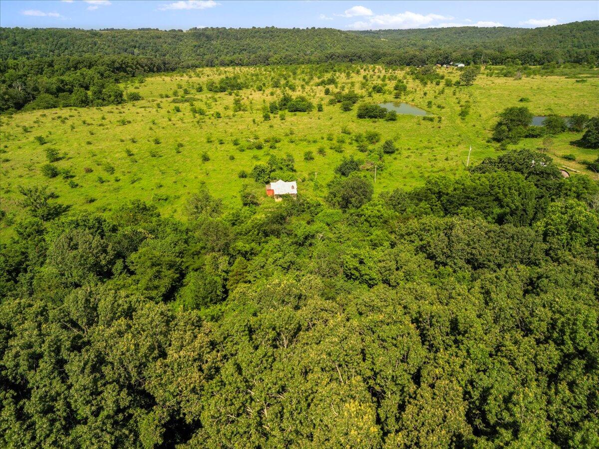 Photo 5 - Land for sale – Tdb  State Hwy O   Udall, MO