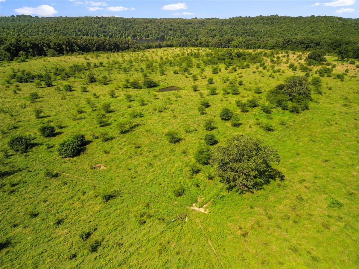 Photo 14 - Land for sale – Tdb  State Hwy O   Udall, MO