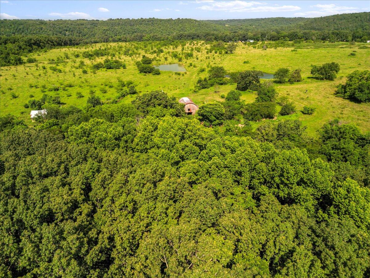 Photo 4 - Land for sale – Tdb  State Hwy O   Udall, MO
