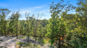 Land for sale – Lot 11  Wilshire Boulevard  Pineville, MO