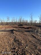 Photo 6 - Land for sale – Lot 11  Wilshire Boulevard  Pineville, MO