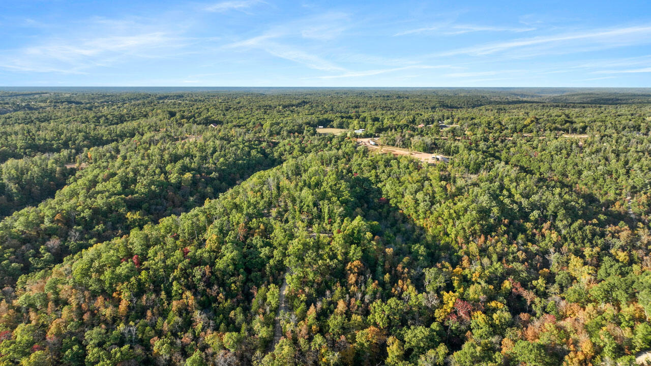 Photo 12 - Land for sale – Lot 11  Wilshire Boulevard  Pineville, MO