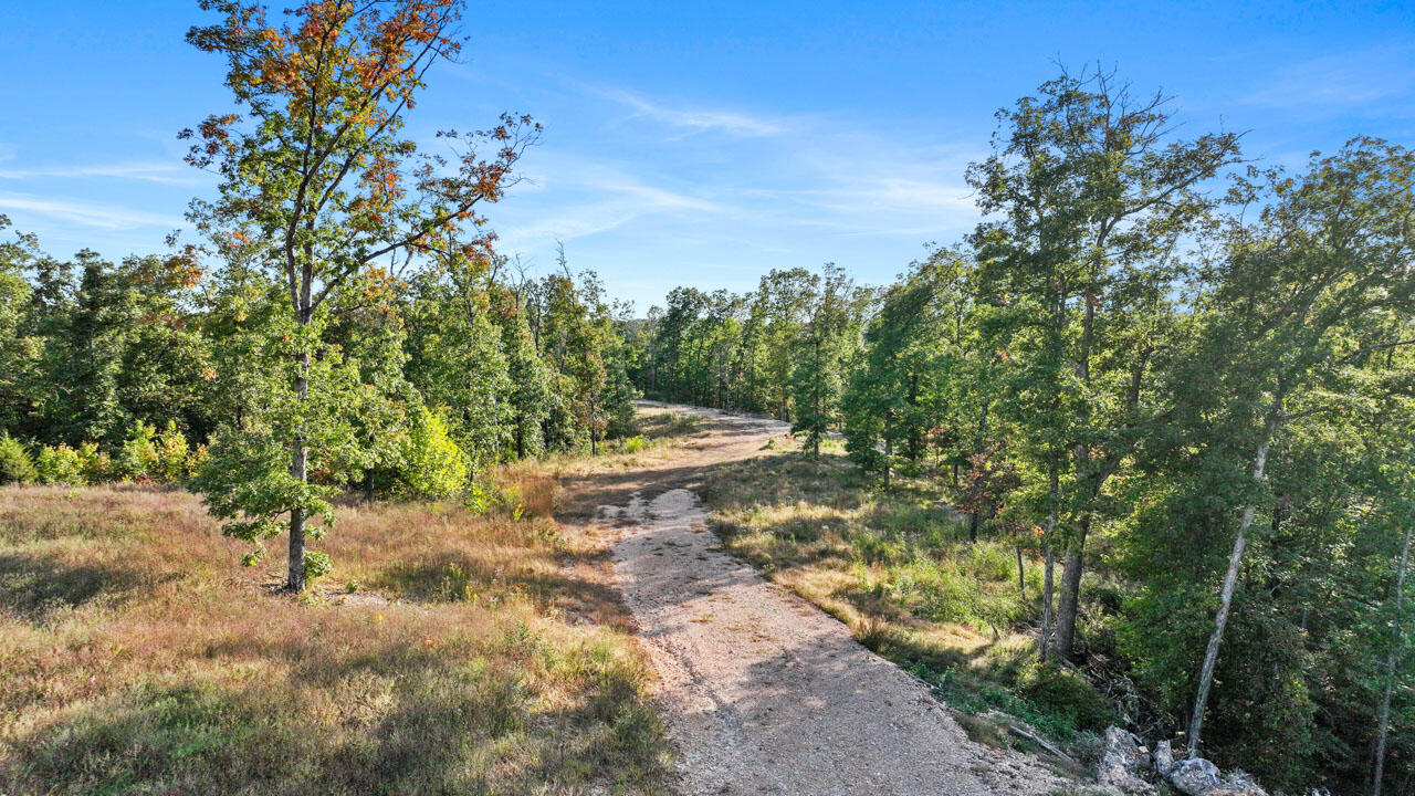 Photo 9 - Land for sale – Lot 11  Wilshire Boulevard  Pineville, MO