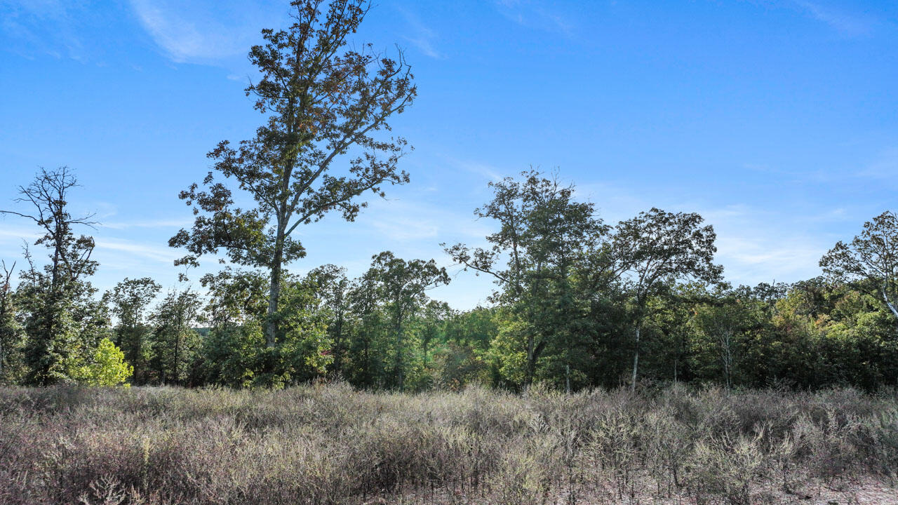 Photo 8 - Land for sale – Lot 11  Wilshire Boulevard  Pineville, MO