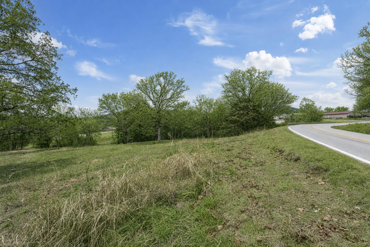 Photo 4 - Land for sale – Tbd  Pinto Lane  Cape Fair, MO