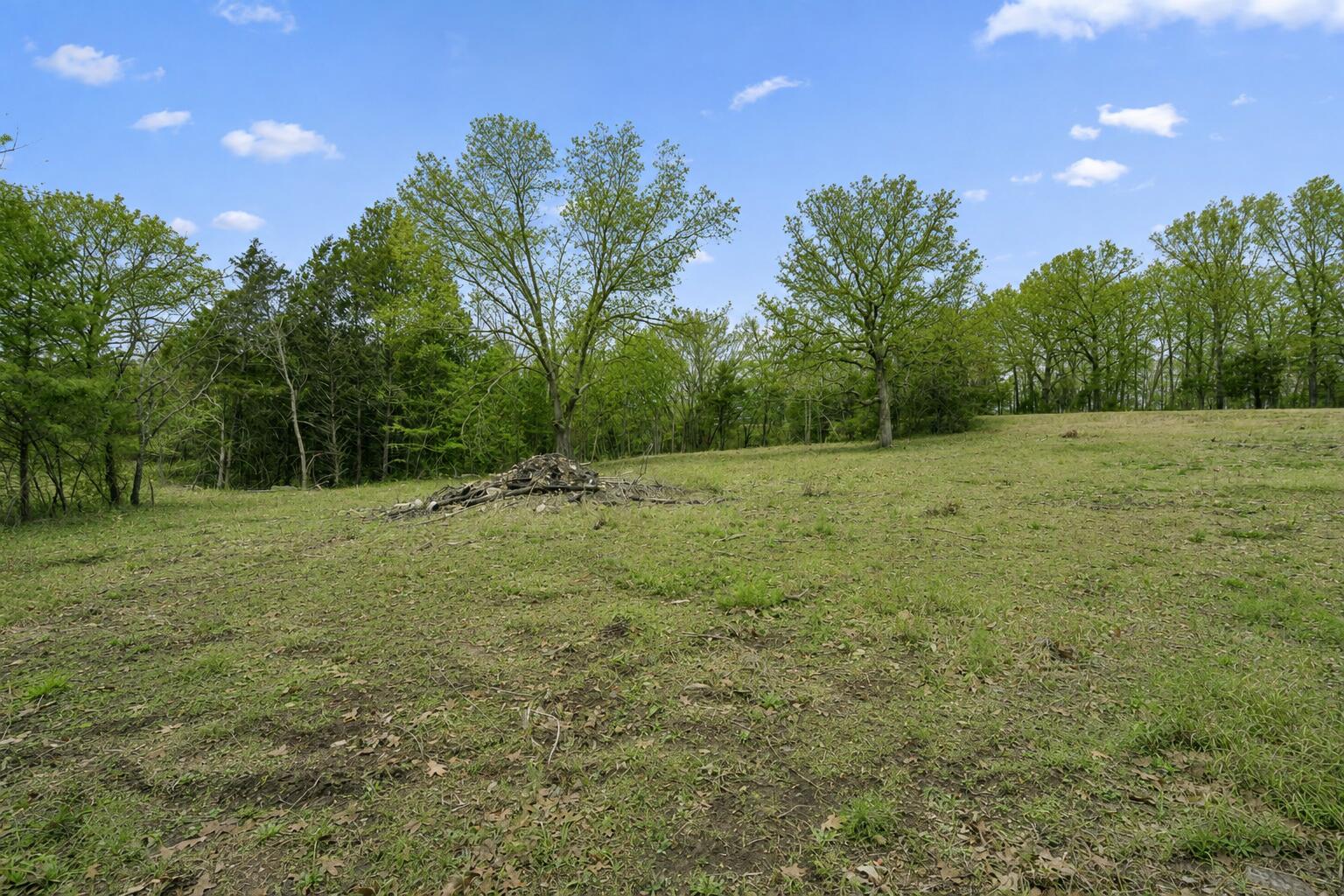 Photo 5 - Land for sale – Tbd  Pinto Lane  Cape Fair, MO