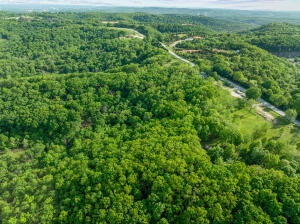 Photo 3 - Land for sale – 000  El Monte Road  Branson, MO