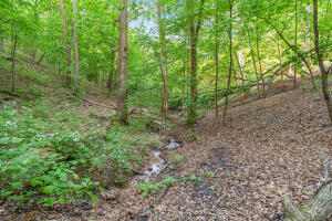 Land for sale – 000  El Monte Road  Branson, MO