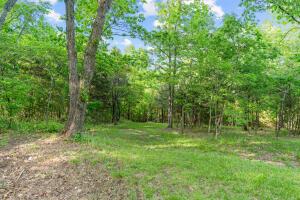 Photo 4 - Land for sale – 000  El Monte Road  Branson, MO