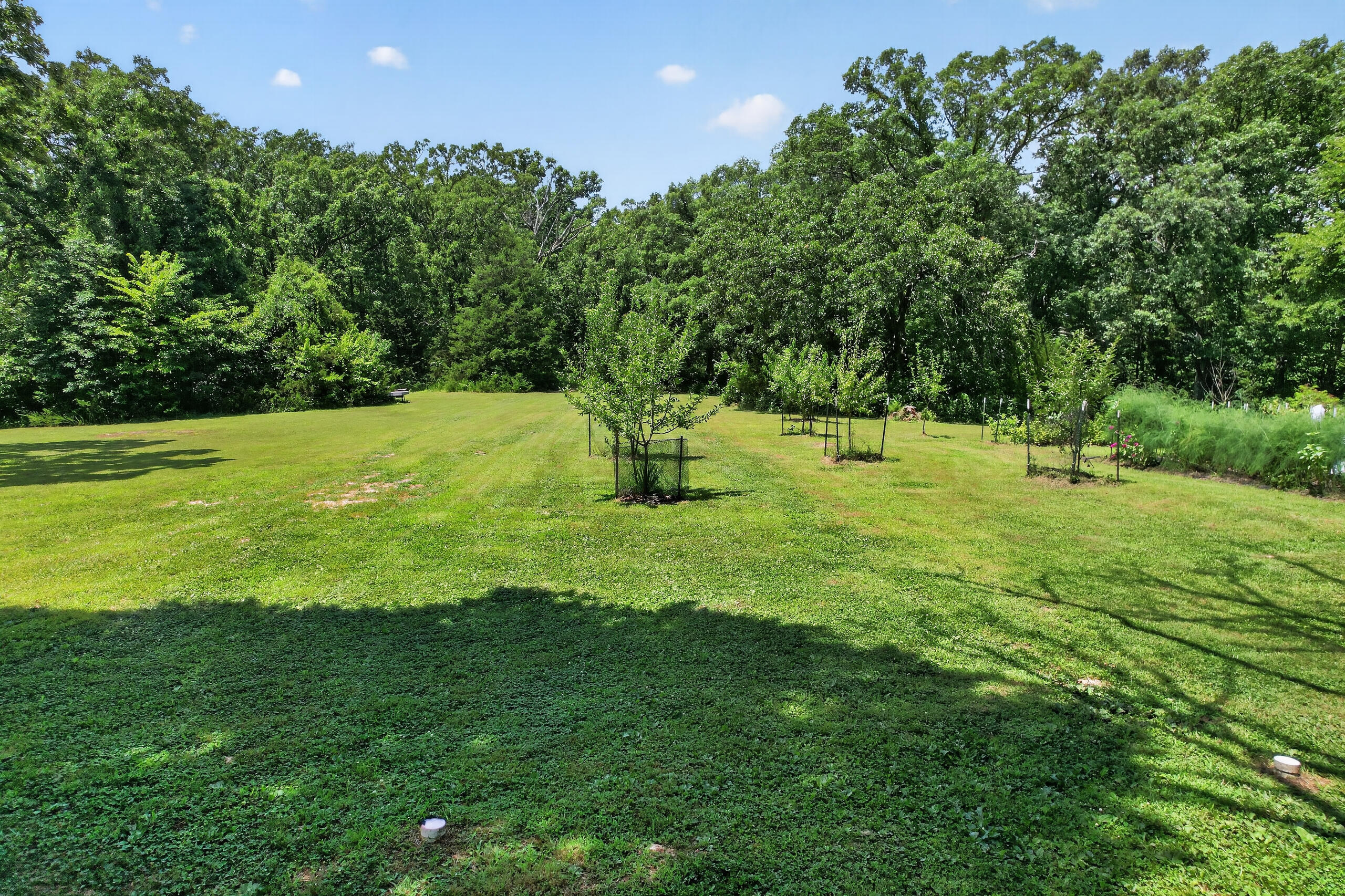 Photo 118 - Residential for sale – 411  Moon Valley Road  Lebanon, MO