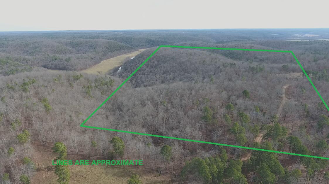 Photo 2 - Residential for sale – 000  Private Road 422-17   Birch Tree, MO