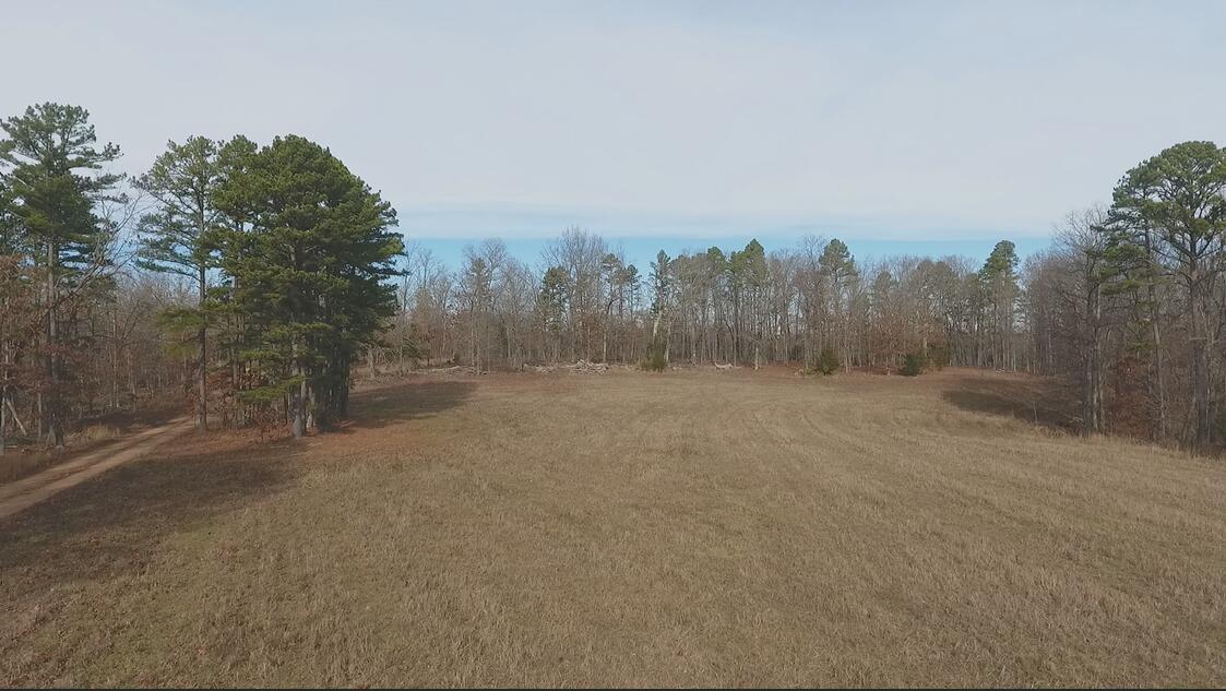 Photo 5 - Farm for sale – 000  Private Road 422-17   Birch Tree, MO