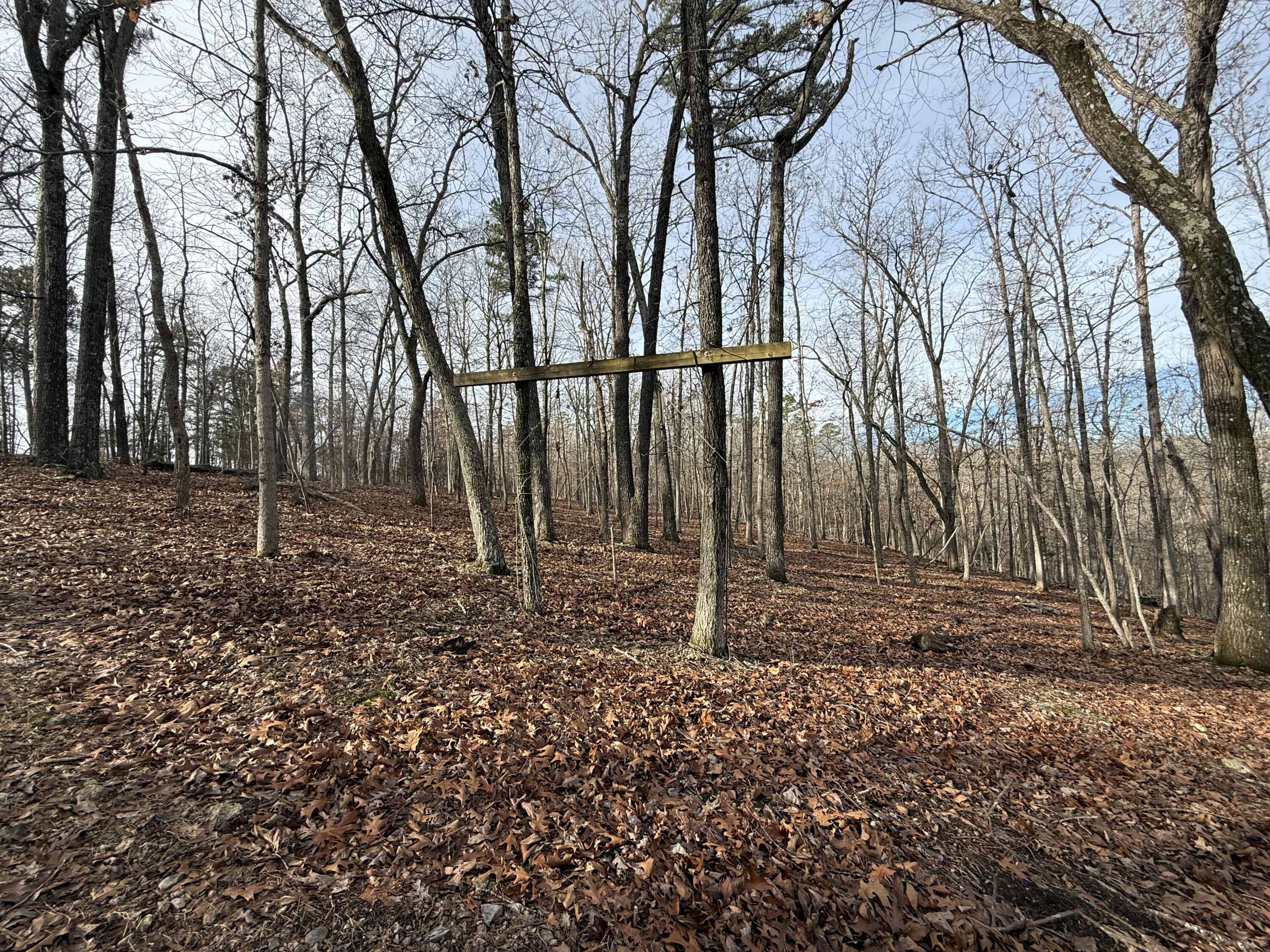 Photo 22 - Farm for sale – 000  Private Road 422-17   Birch Tree, MO