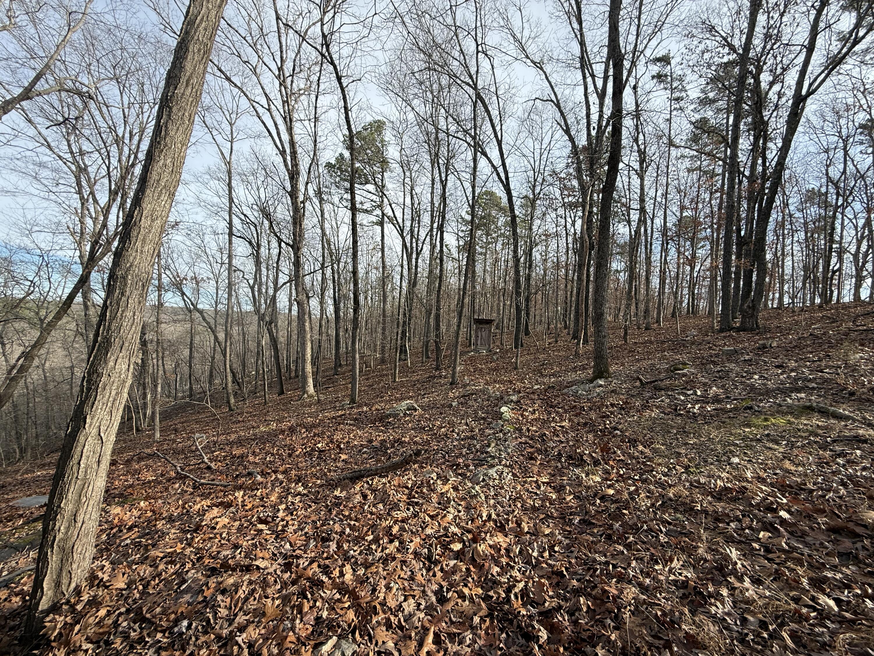 Photo 21 - Farm for sale – 000  Private Road 422-17   Birch Tree, MO