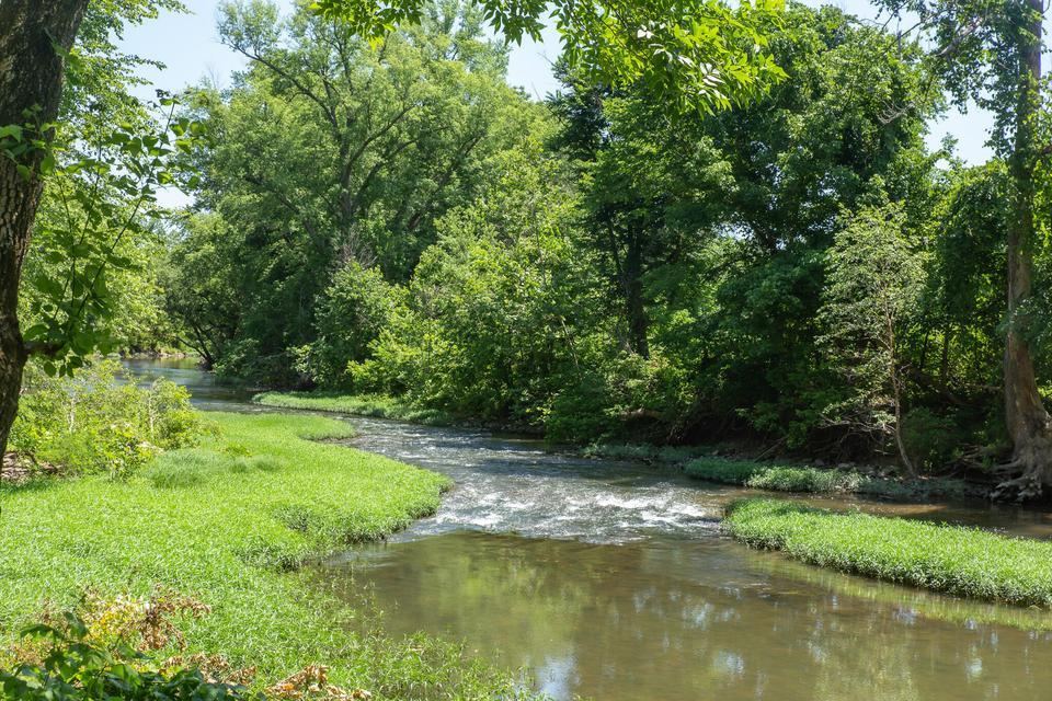 Photo 4 - Residential for sale – 23  Sweetwater Lane  Buffalo, MO