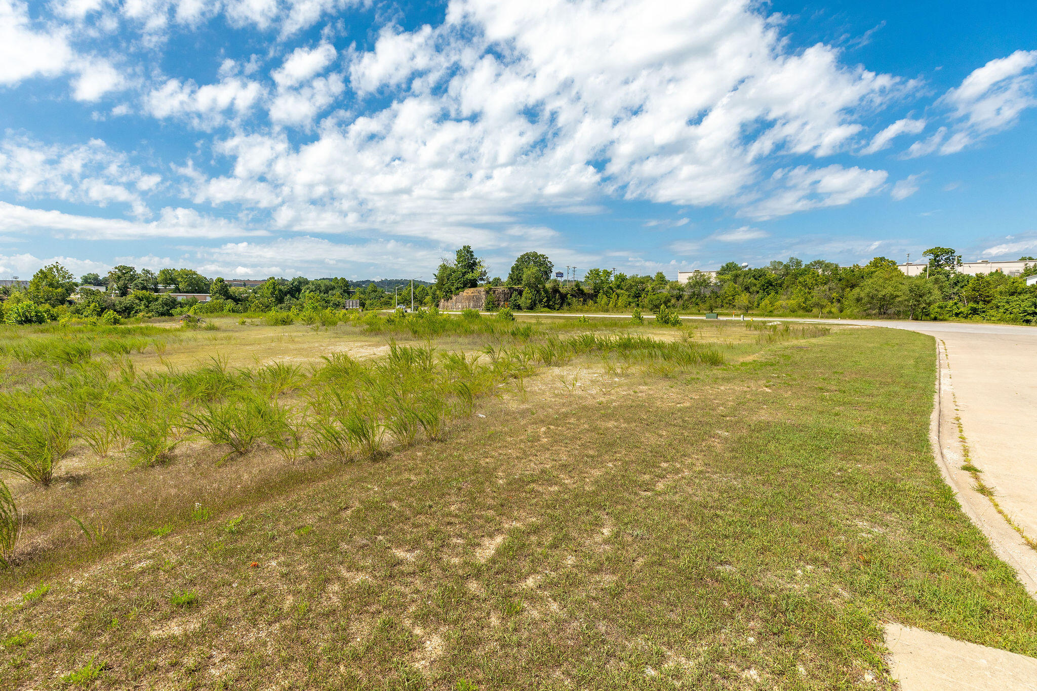 Photo 4 - Land for sale – 0  Hollister  Pointe Drive  Hollister, MO