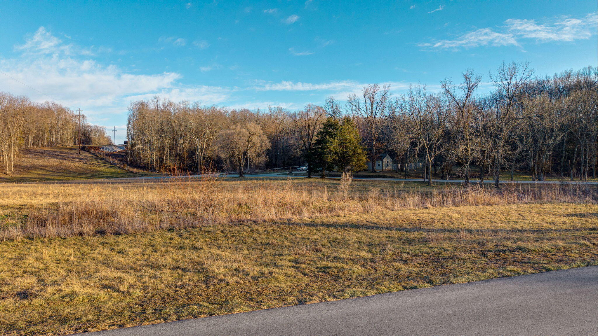 Photo 2 - Land for sale – Lot 24  Cottage Gate Drive  Billings, MO