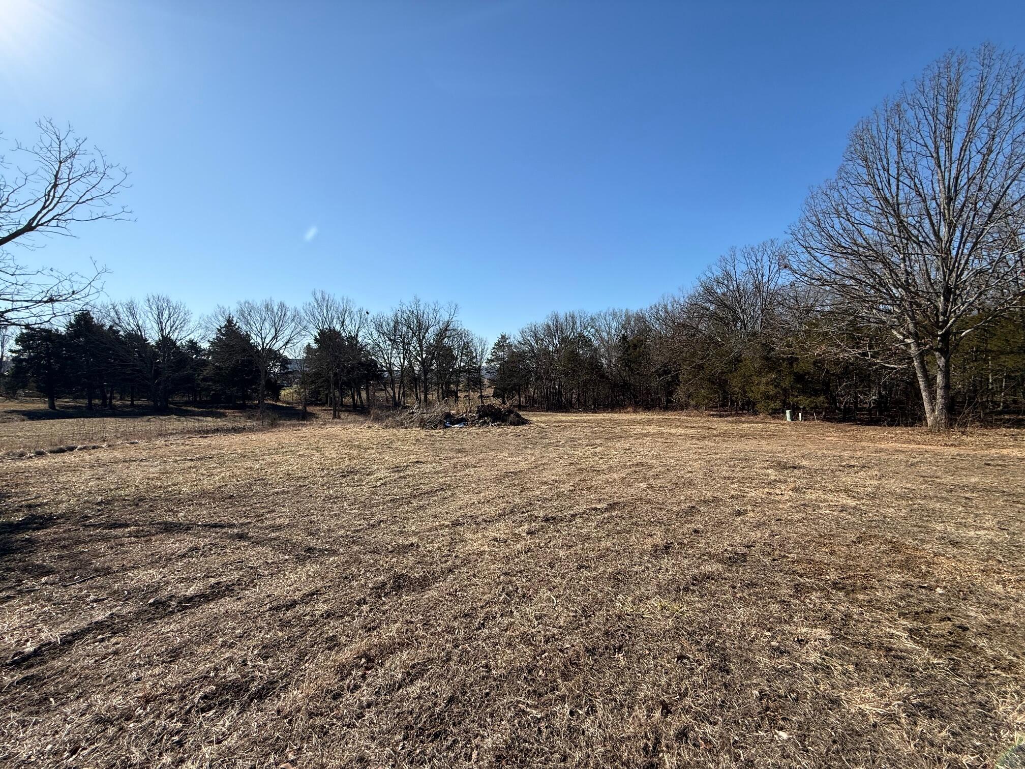 Photo 4 - Land for sale – 000  Primrose & Honeysuckle Lane  Houston, MO