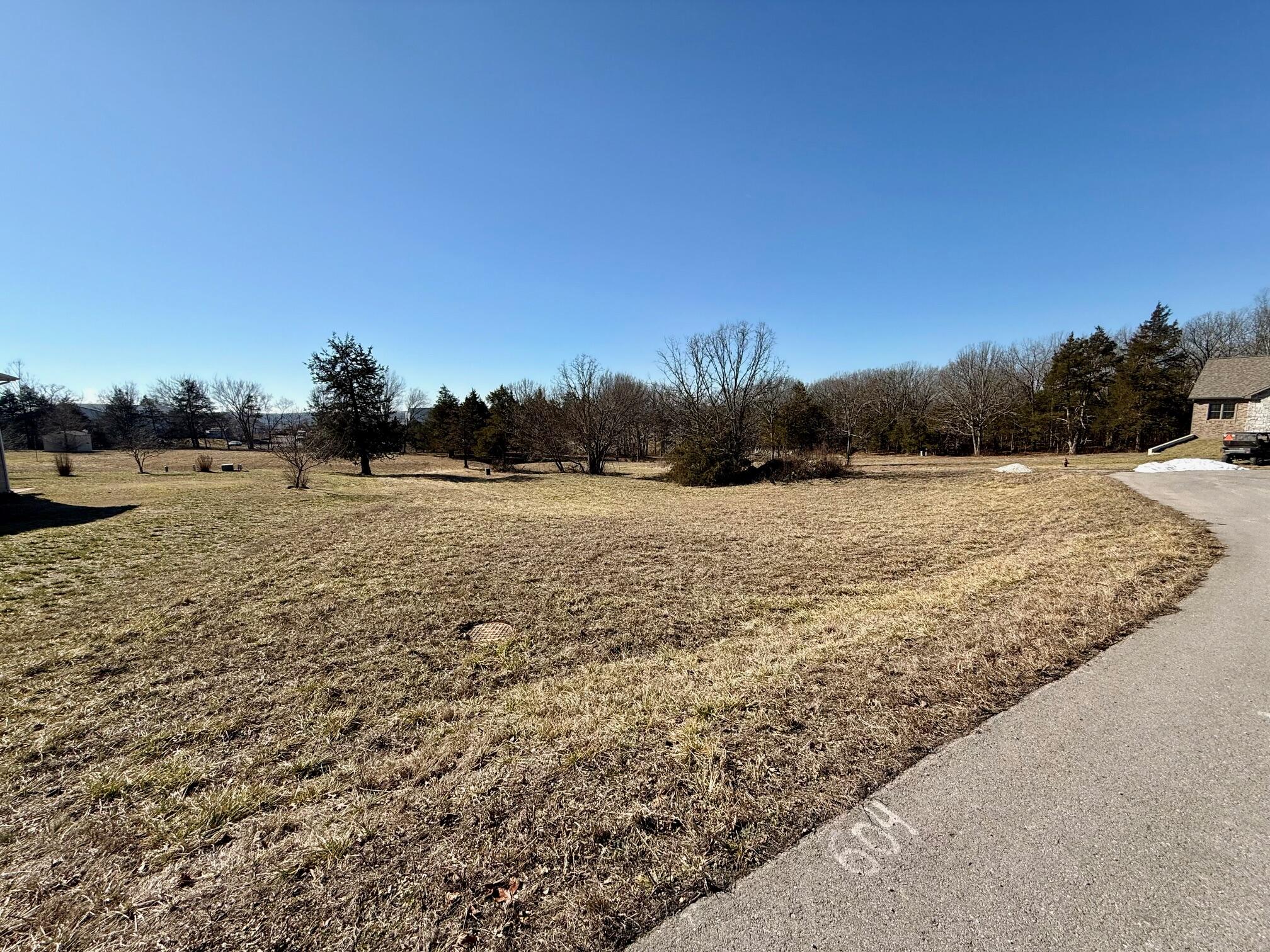 Photo 2 - Land for sale – 000  Primrose & Honeysuckle Lane  Houston, MO