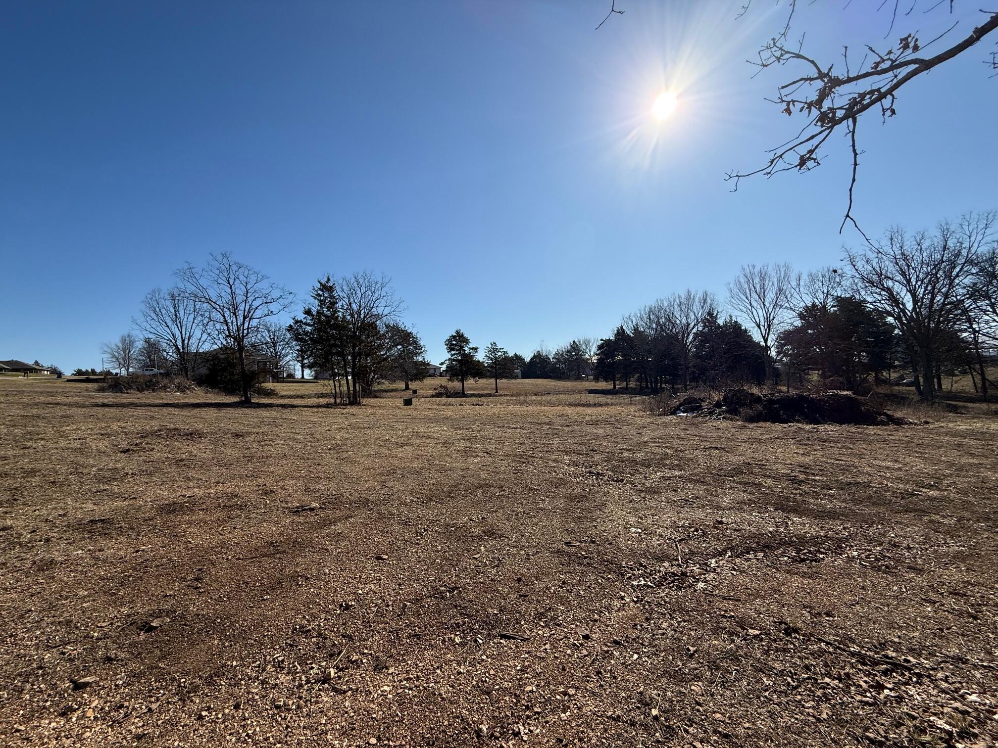 Land for sale – 000  Primrose & Honeysuckle Lane  Houston, MO