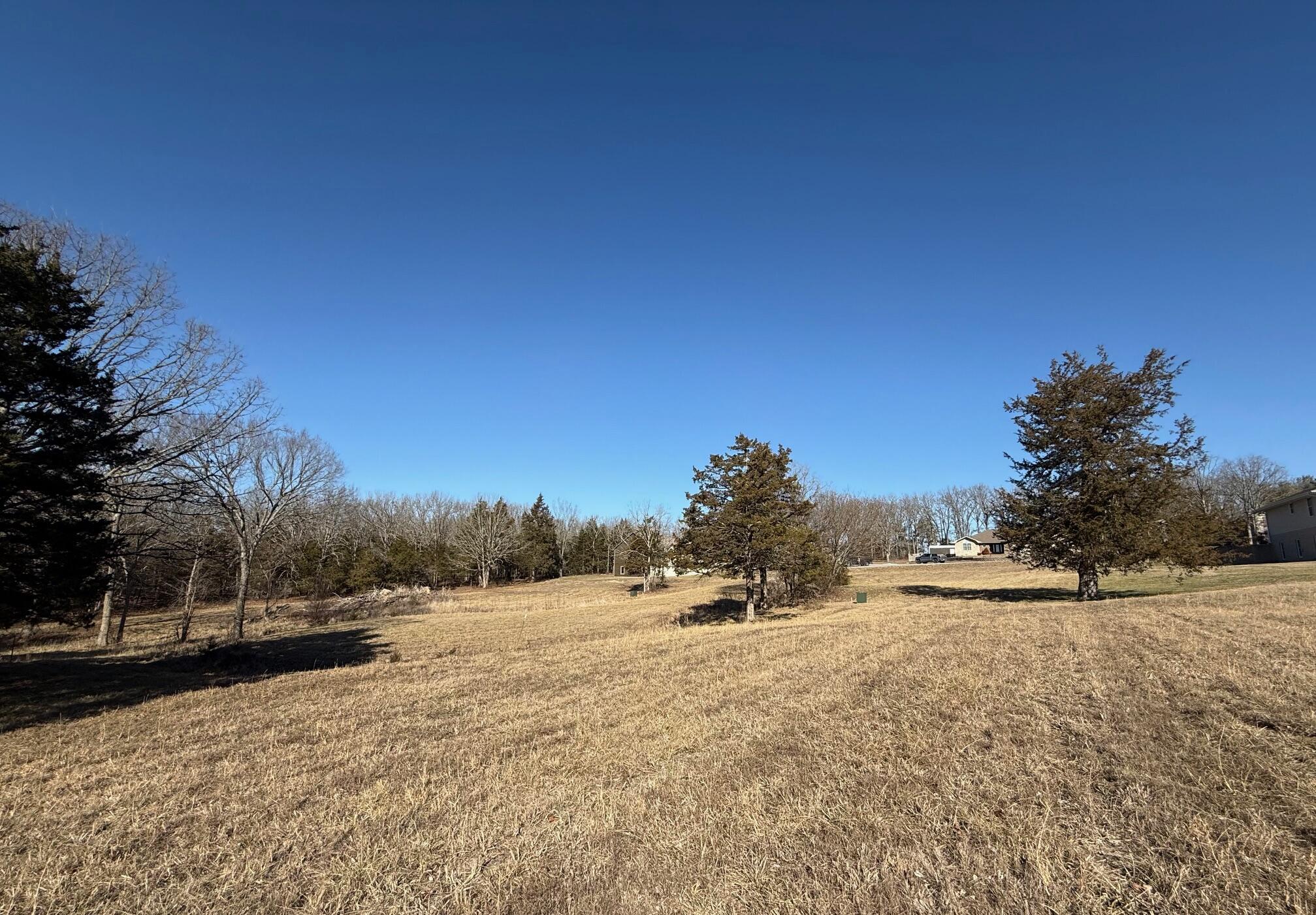 Photo 8 - Land for sale – 000  Primrose & Honeysuckle Lane  Houston, MO